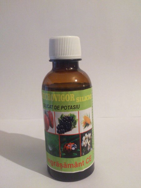 Microvigor Silicio (200 ML)